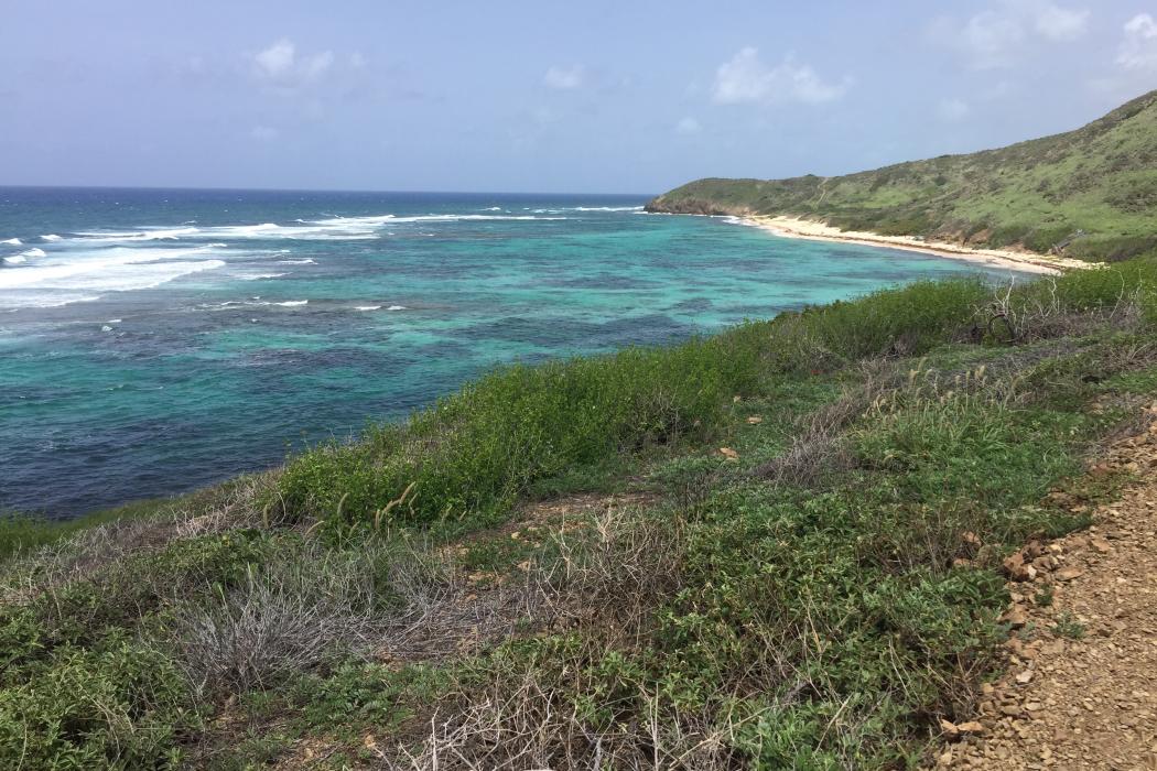 Sandee Cramer Park Beach