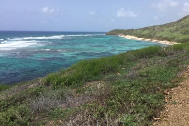 Sandee Cramer Park Beach