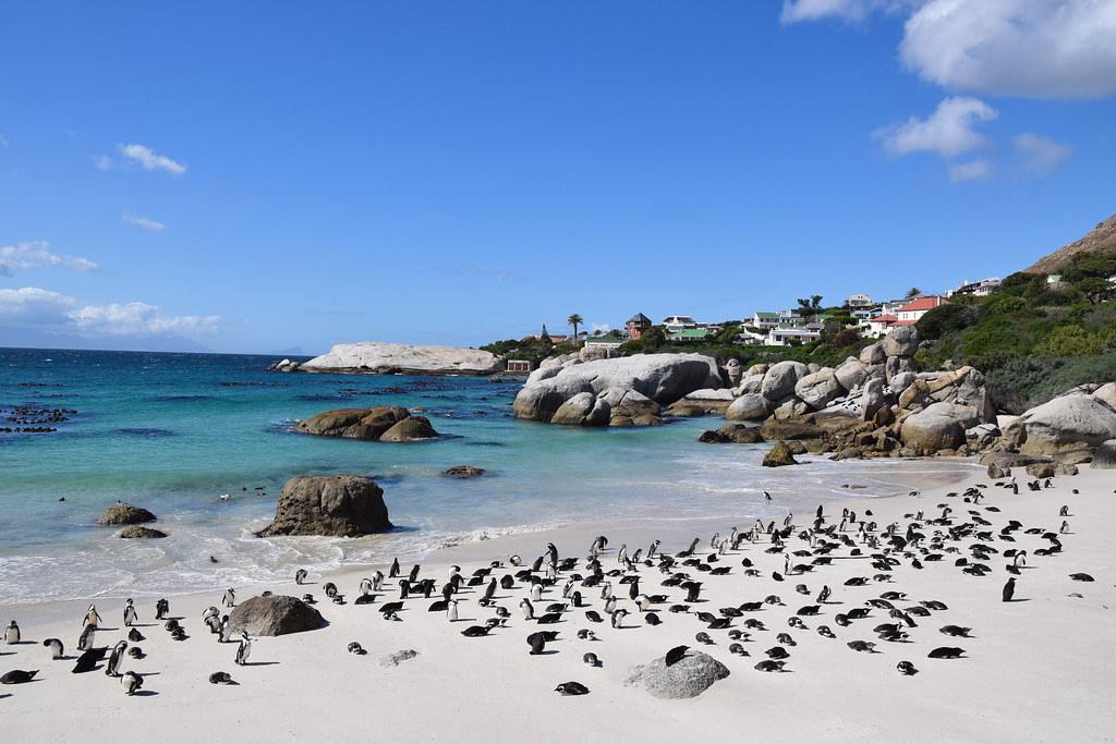 Sandee Boulders Beach Photo