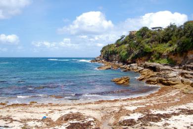 Sandee - Clovelly Beach