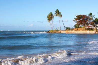 Sandee Genipabu Beach & Dunes Photo