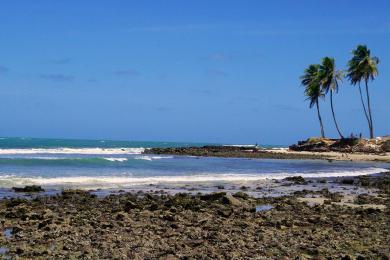 Sandee - Genipabu Beach & Dunes