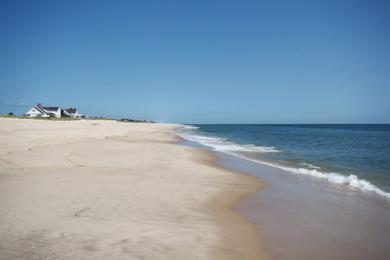 Sandee Halsey Neck Beach