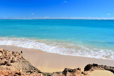 Sandee Osprey Bay Photo