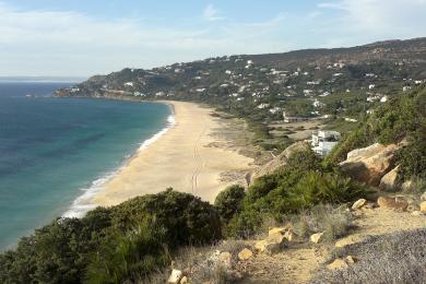 Sandee Playa De Los Alemanes