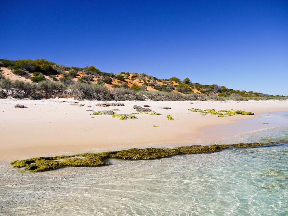 Sandee - Cattle Well Beach