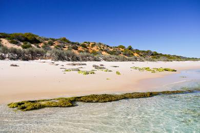 Sandee - Cattle Well Beach