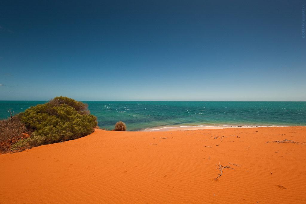 Sandee - Cape Peron- Francois Peron