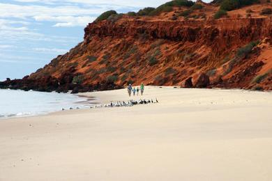 Sandee Herald Bight