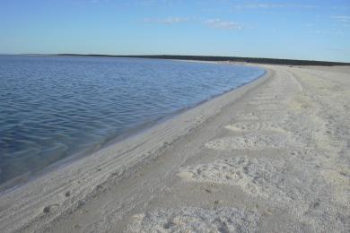 Sandee Shell Beach Photo