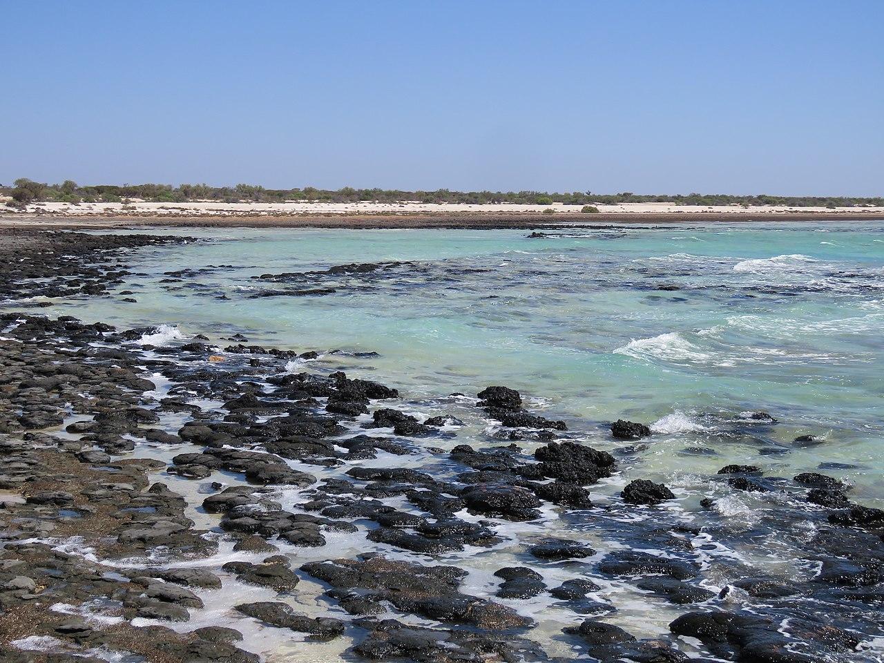 Sandee - Hamelin Pool