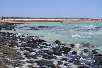 Sandee - Hamelin Pool