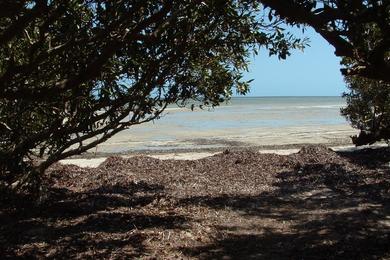 Sandee Bush Bay