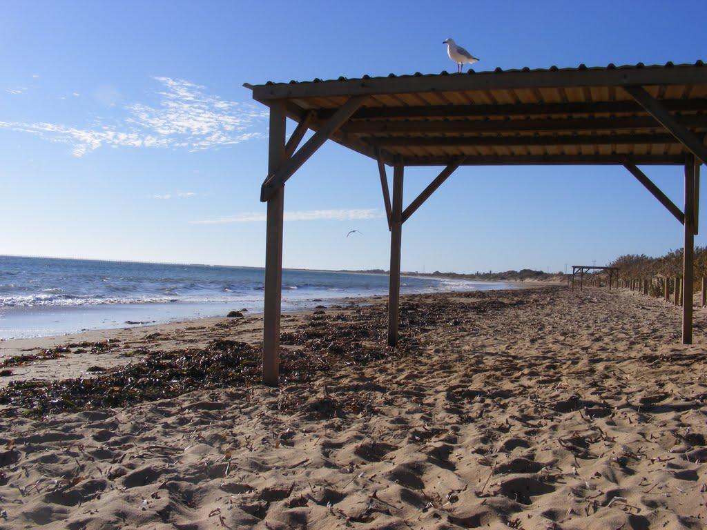 Sandee - Pelican Point Beach