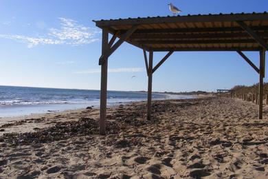 Sandee Pelican Point Beach