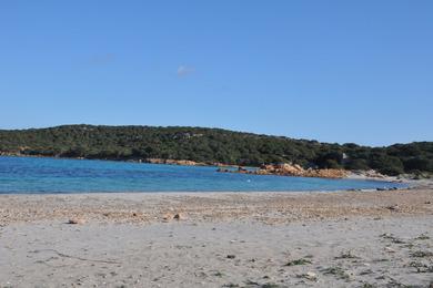 Sandee Cala Portese