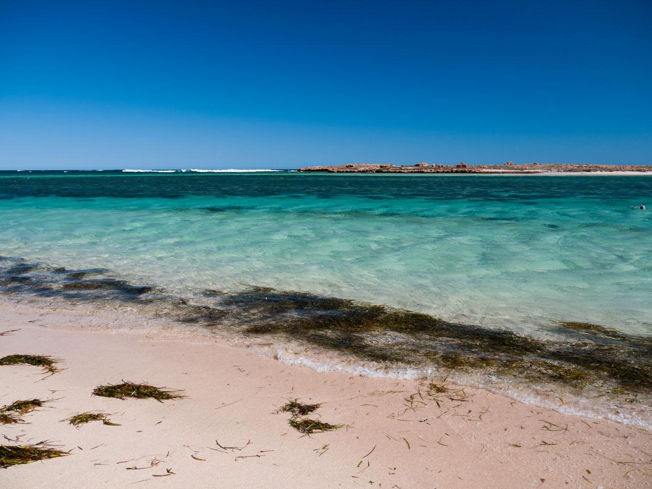 Sandee - Point Quobba Beach