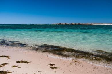 Sandee - Point Quobba Beach