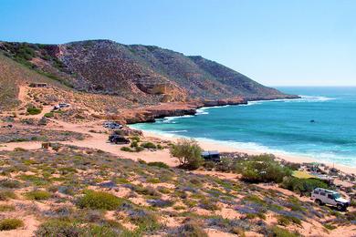 Sandee - Red Bluff Quobba Station