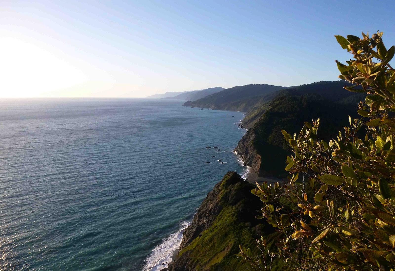 Sandee - Needle Rock Beach