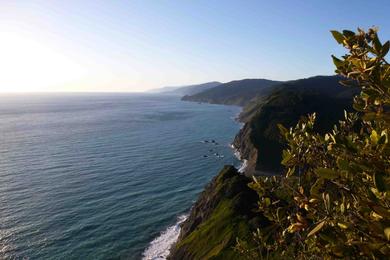 Sandee Needle Rock Beach