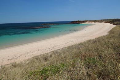 Sandee - Barred Creek Beach