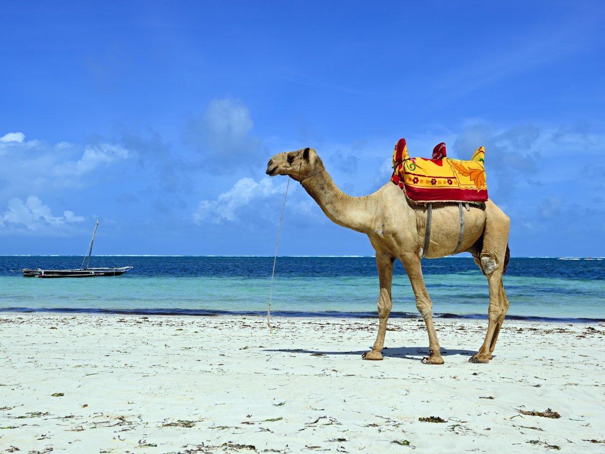 Sandee - HomePage / Sidi Krier