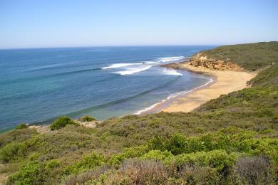 Sandee Bells Beach Photo