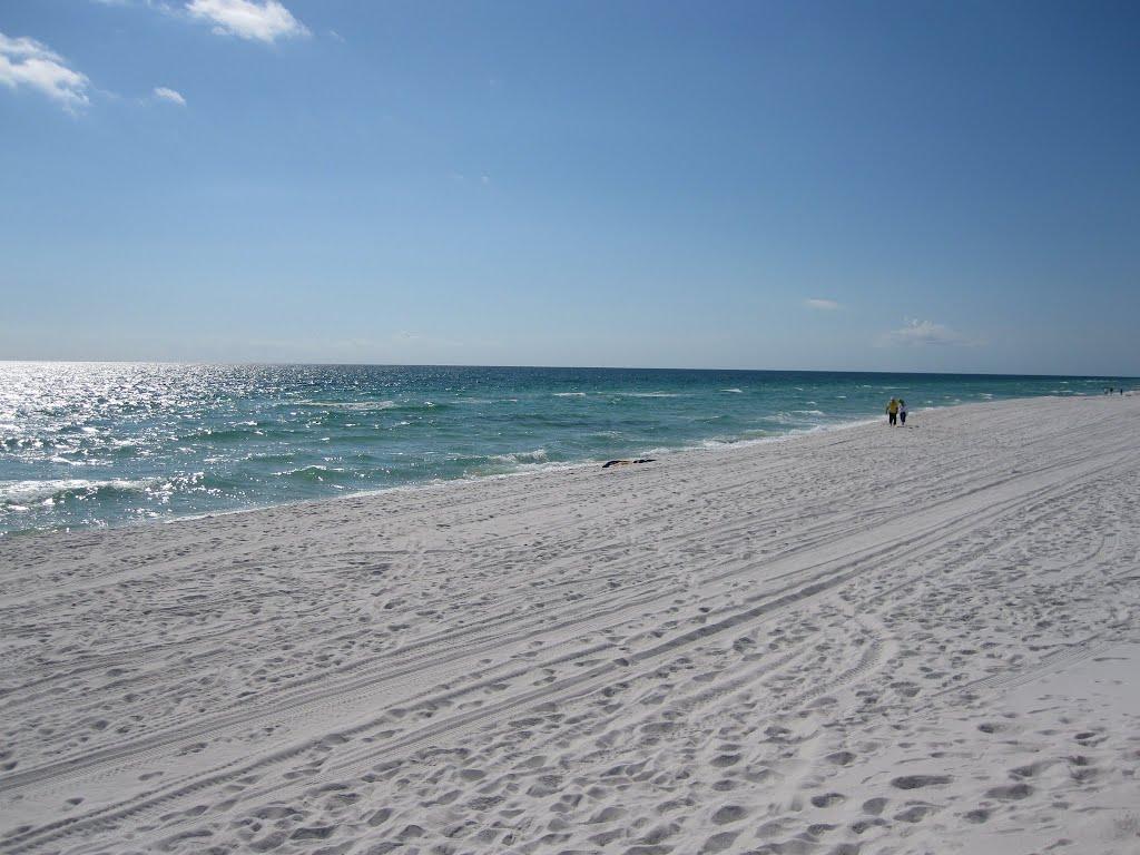 Sandee - Pensacola Dog Beach East