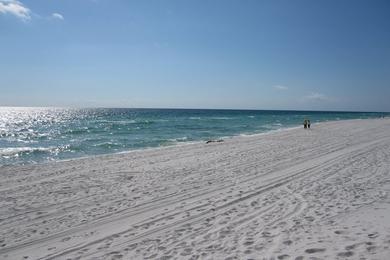 Sandee Pensacola Dog Beach East Photo