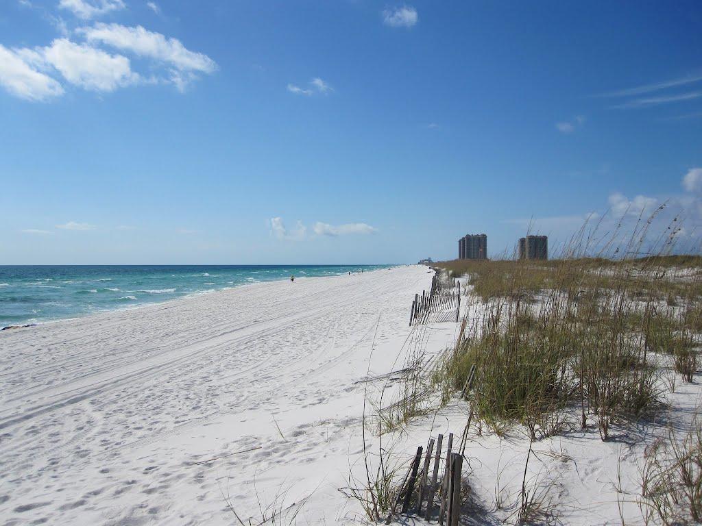 Sandee - Pensacola Dog Beach East