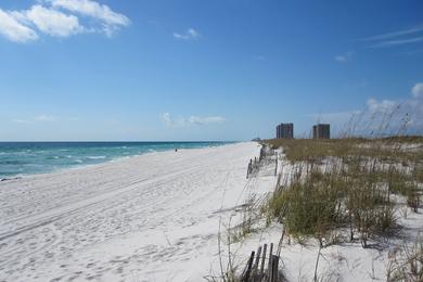 Sandee - Pensacola Dog Beach East