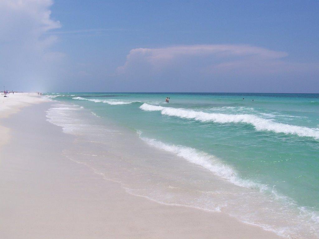 Sandee - Pensacola Dog Beach East