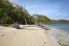 Sandee Hope Bay Beach