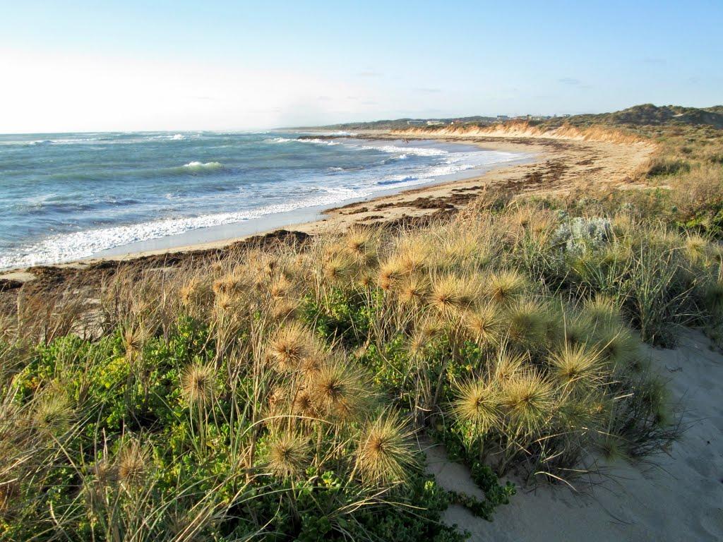 Dongara Photo - Sandee