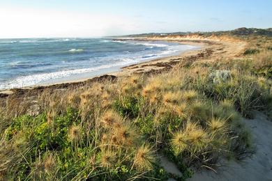 Sandee - Dongara Beach