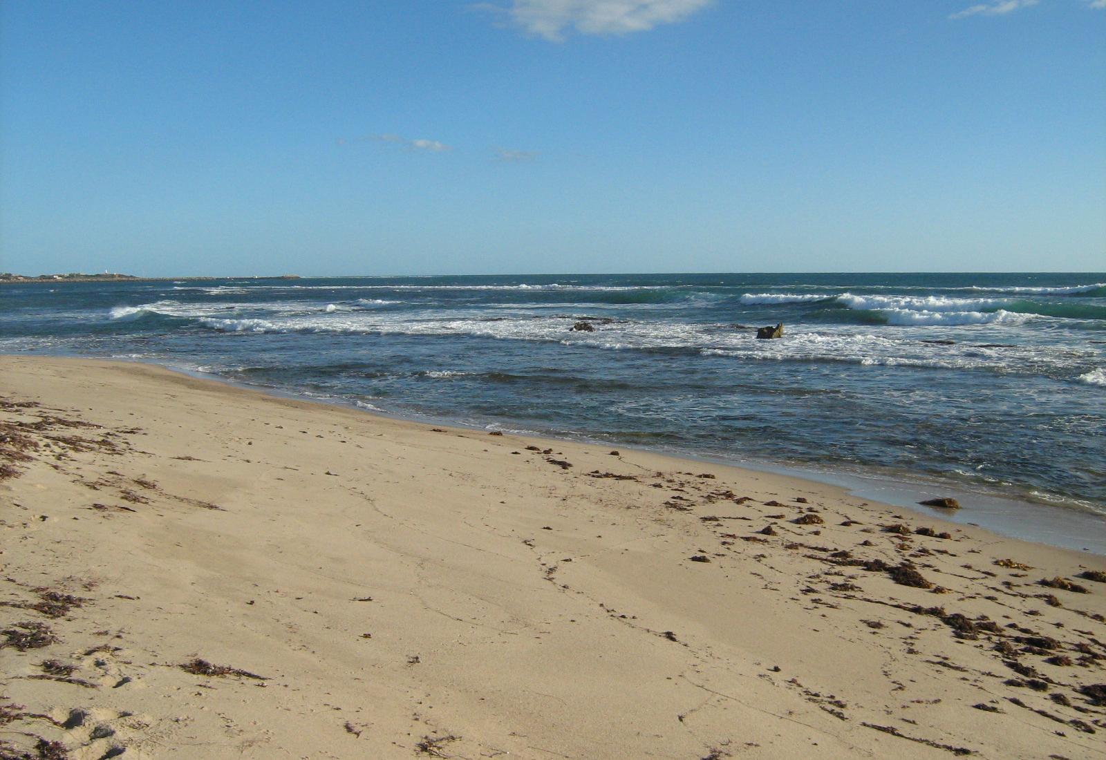 Sandee - Dongara Beach