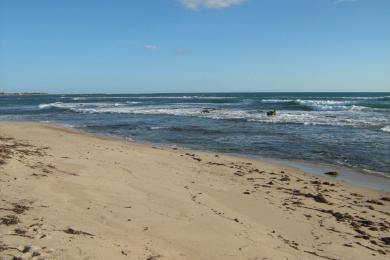 Sandee Dongara Beach