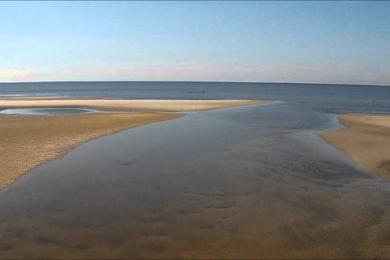 Sandee Moores Beach