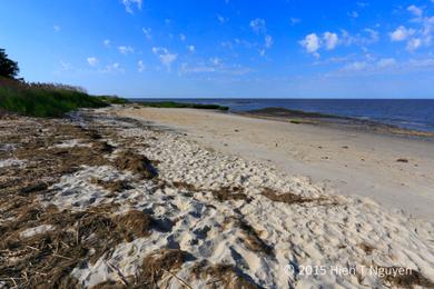 Sandee - East Point Beach