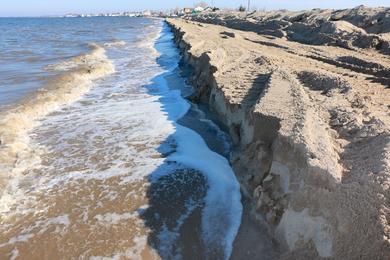 Sandee Fortescue Beach Photo