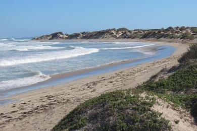 Sandee Greenbough River Mouth Photo