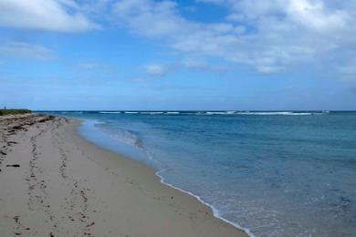 Sandee Coronation Beach