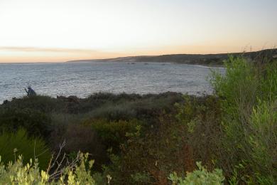 Sandee Horrocks Beach Photo