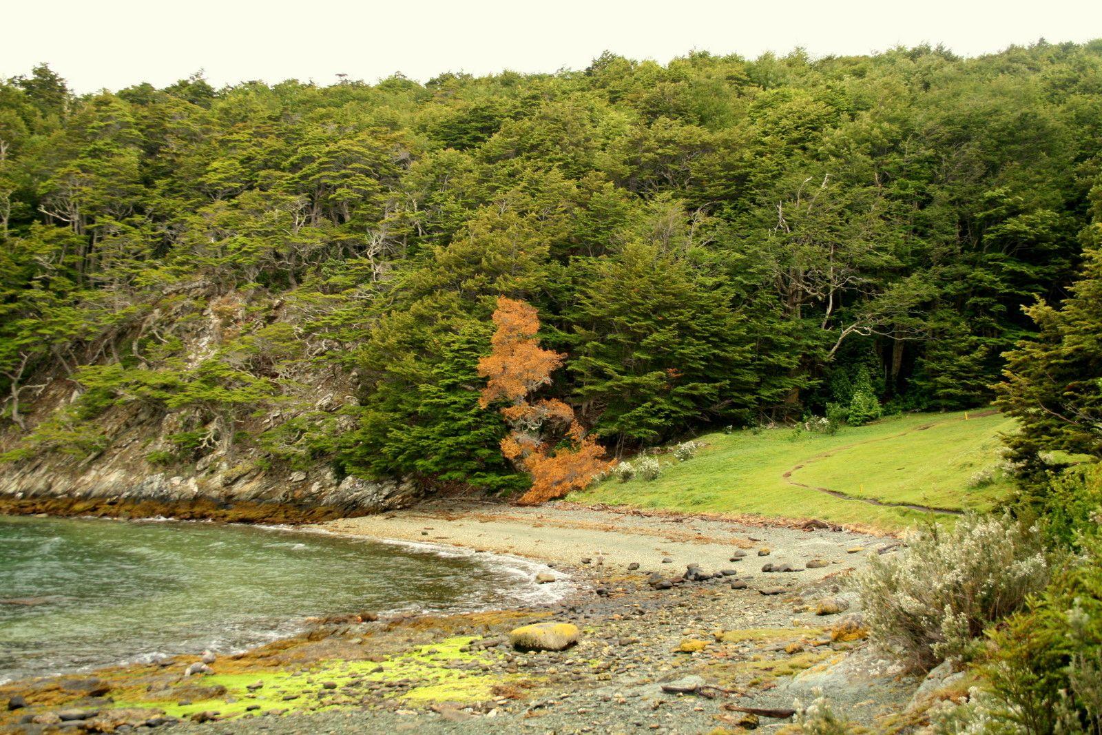 Sandee - Parque Nacional Tierra Del Fuego