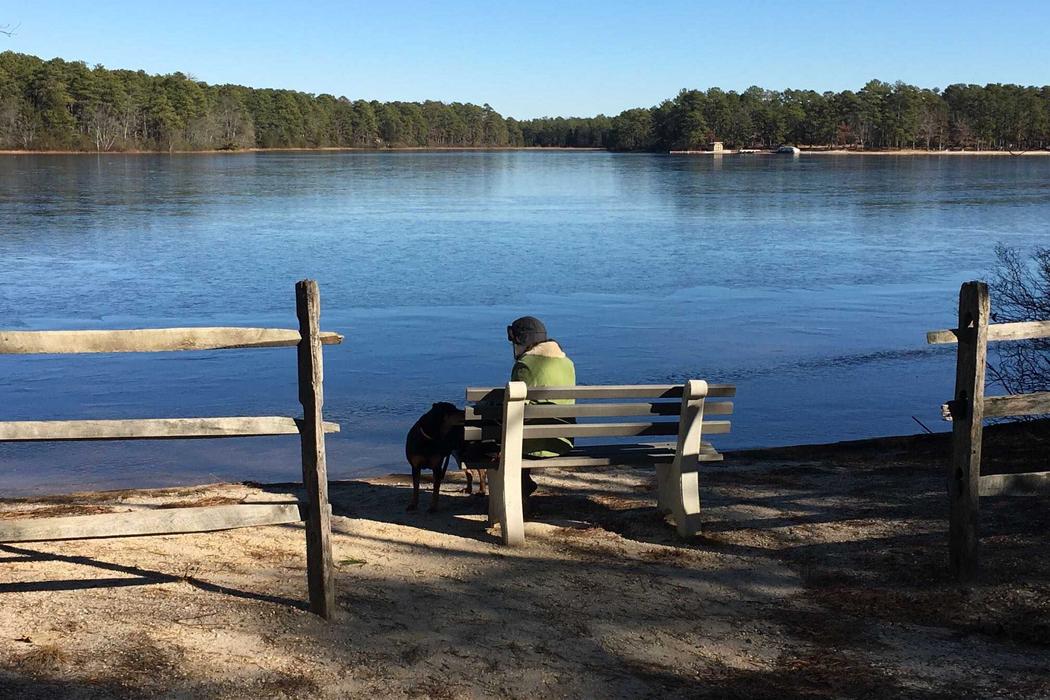 Sandee Lake Absegami Photo