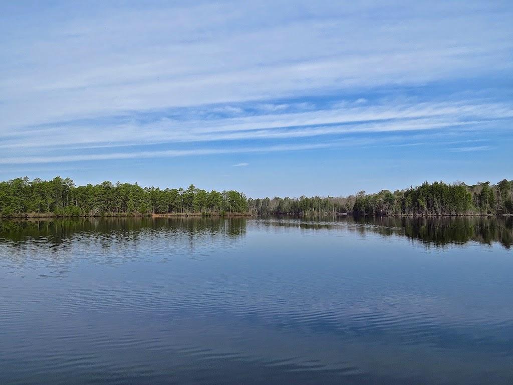 Sandee - Atsion Lake Beach