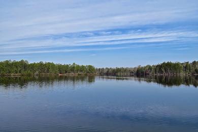 Sandee - Atsion Lake Beach