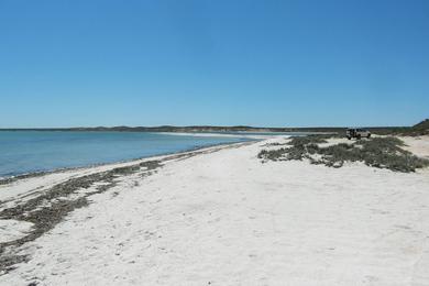 Sandee Whalebone Bay