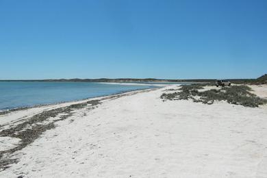 Sandee Whalebone Bay Photo